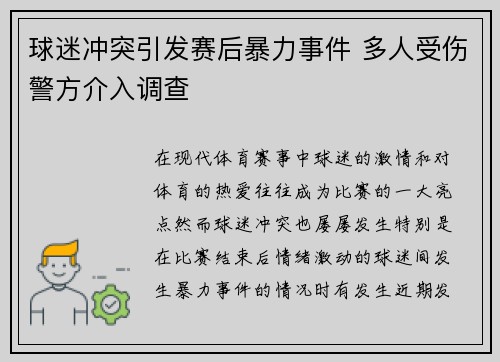 球迷冲突引发赛后暴力事件 多人受伤警方介入调查