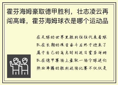 霍芬海姆豪取德甲胜利，壮志凌云再闯高峰，霍芬海姆球衣是哪个运动品牌